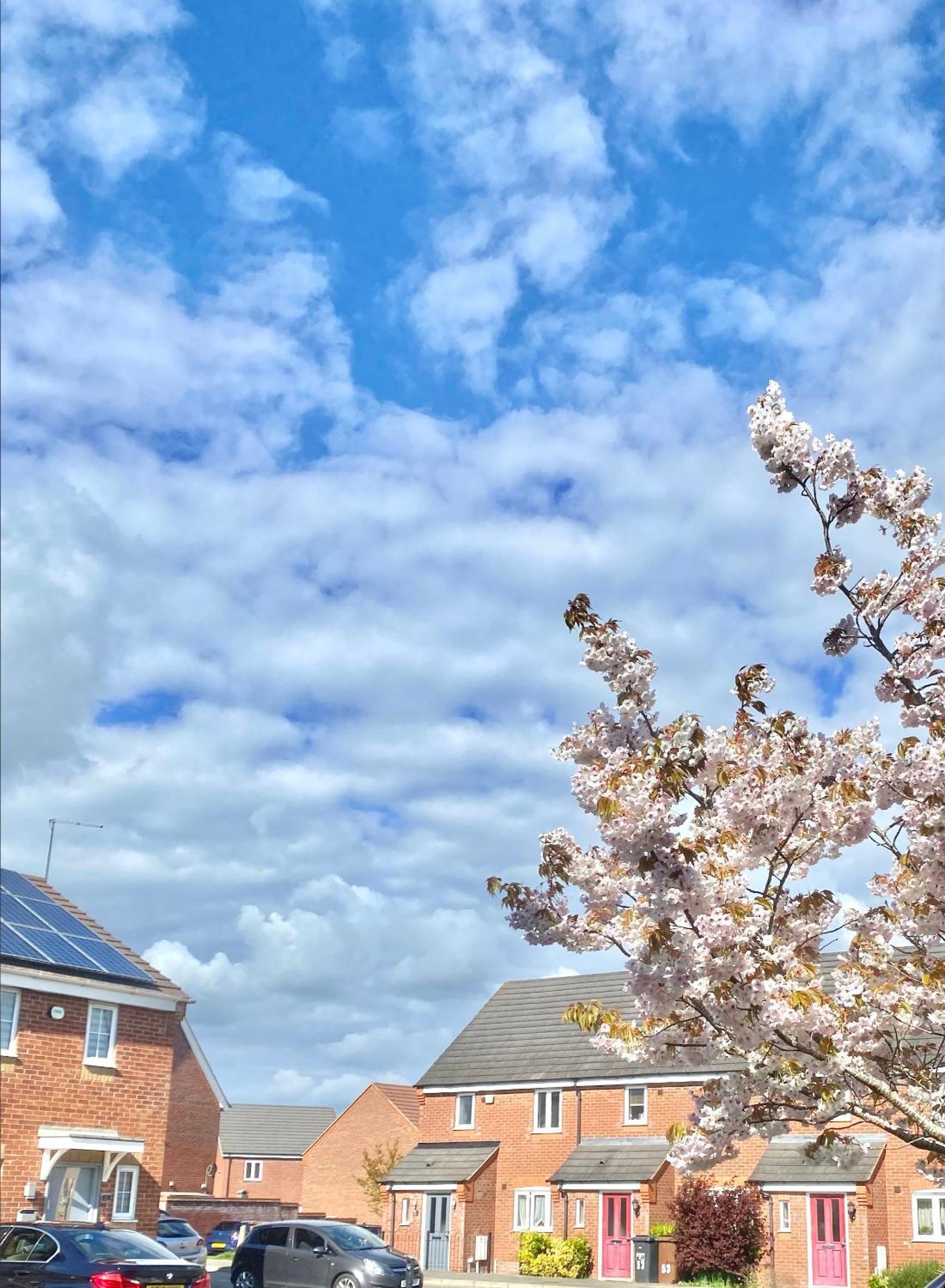 Free Private Parking! Oakley House And Garden! Fully Equipped 4 Comfy Beds Villa Corby Exterior photo